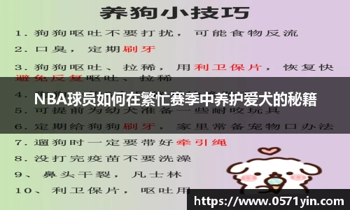 AG旗舰厅