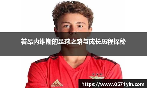 AG旗舰厅官网入口